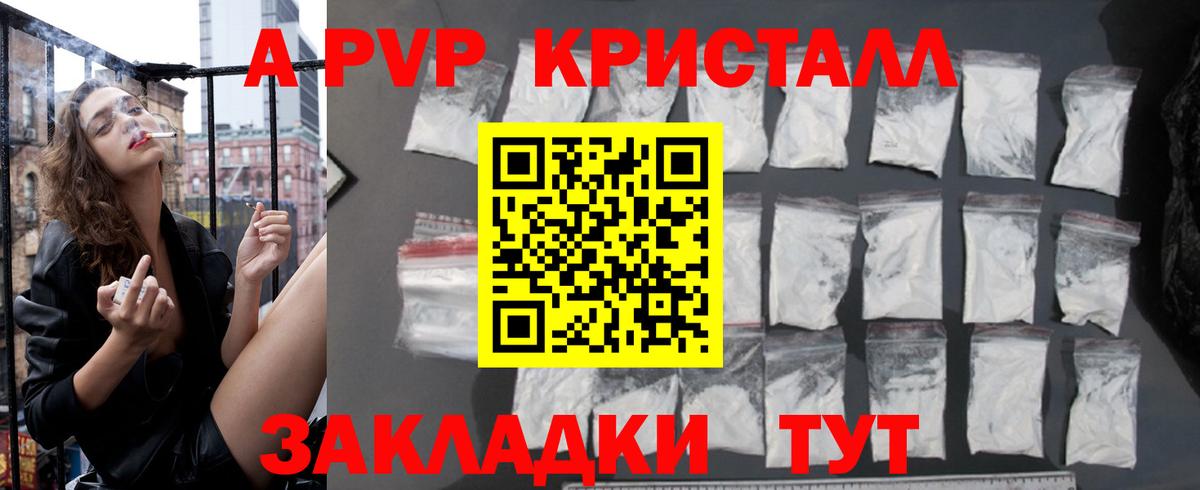 APVP СК Элиста