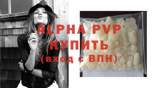 дживик Абаза
