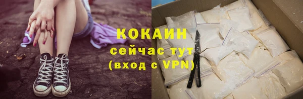 дживик Абаза