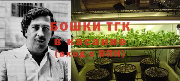 молекула духа Аркадак