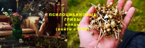 ALPHA PVP Алексин