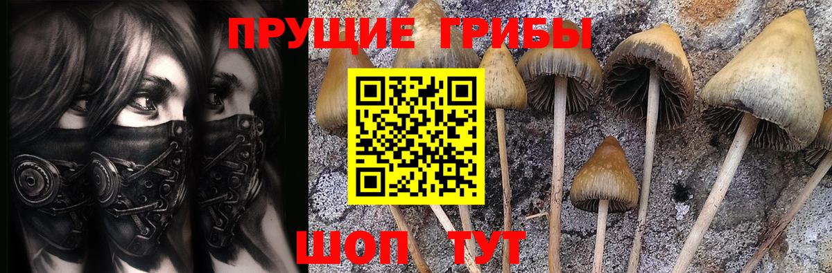 Псилоцибиновые грибы MAGIC MUSHROOMS Элиста