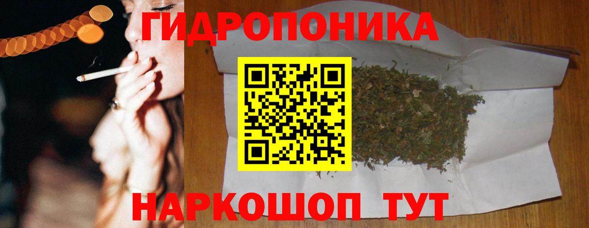 Элиста  МАРИХУАНА планчик  Каннабис гибрид  Вход с VPN 
